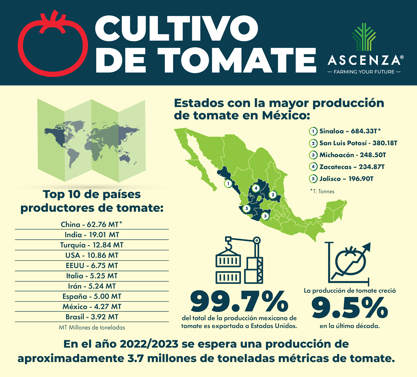 cultivo_tomate