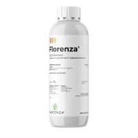 mockup_florenza