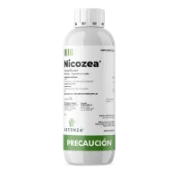 mockup-nicozea