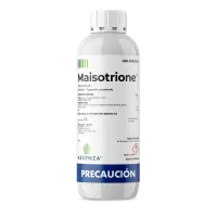 mockup_maisotrione