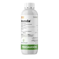 mockup_ronda